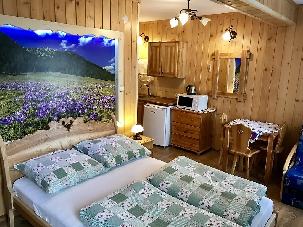 Homestay Wesola Chatka Zakopane - Krupowki 37A -Centrum Poland